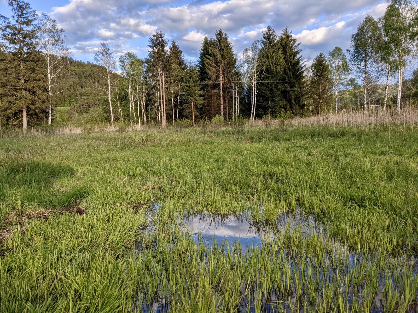 Peatland landscape in the renaturation context
